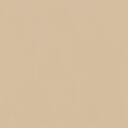 Va.1HUNT01029 Apricot