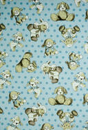 Sf.8243 Nolan 002 bleu