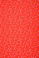 Sw. Wendelin 940637 rood