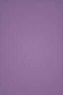 Lv. 7230 ldl. violet