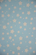 Be.1940 l.blauw sterrenmix